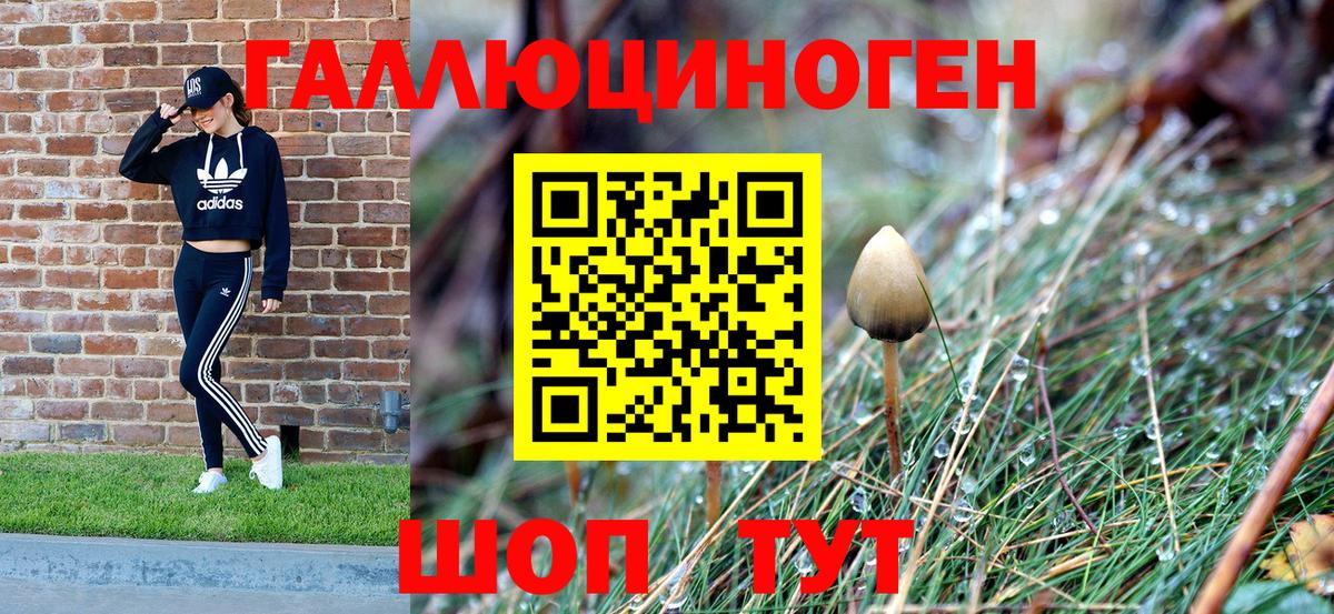 Фрязино  Галлюциногенные грибы Psilocybe  Галлюциногенные грибы Psilocybine cubensis  Вход с VPN 